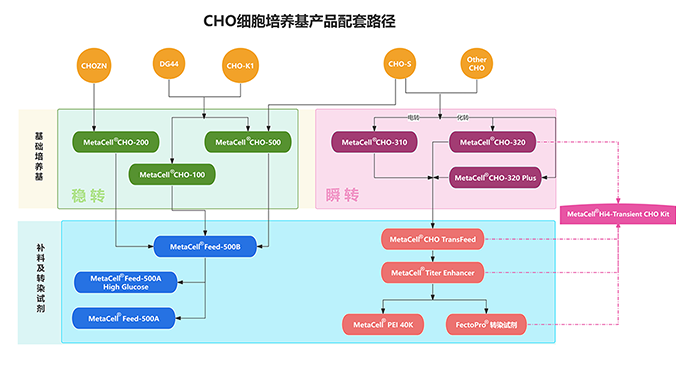 选产品不迷茫—思鹏生物CHO系列培养基配套选择路径